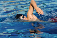 Freistilschwimmer